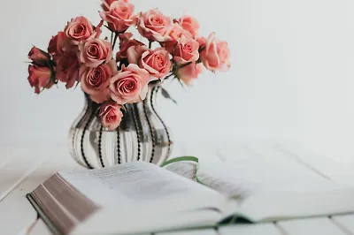 И жизнь, и слёзы, и любовь: 6 трогательных книг Маши Трауб