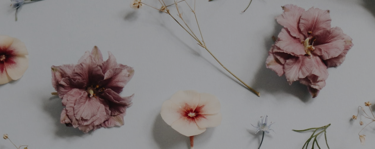 Ароматы из книг