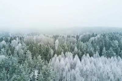 Встречаем зиму: 6 скандинавских романов