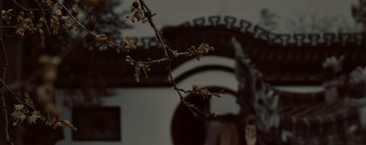 Герои из Китая: фениксы приходят на смену вампирам и магам