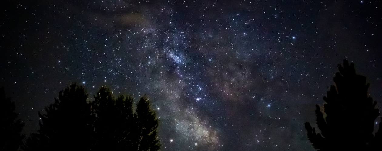 История жизни Карла Сагана