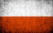 Польская литература