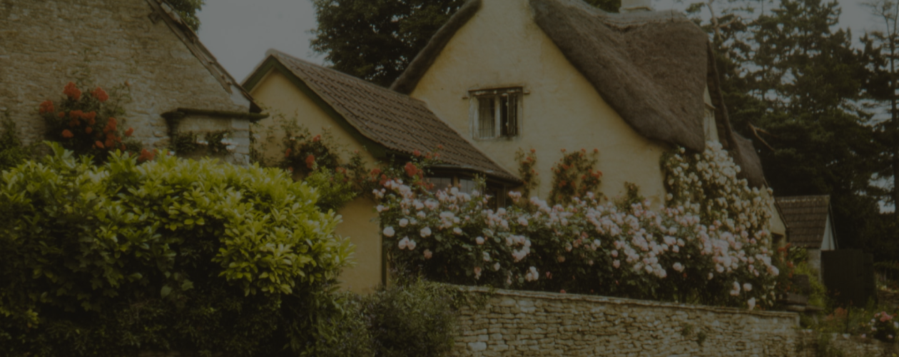 Уютный детектив: 15 книг для знакомства с жанром cozy mystery