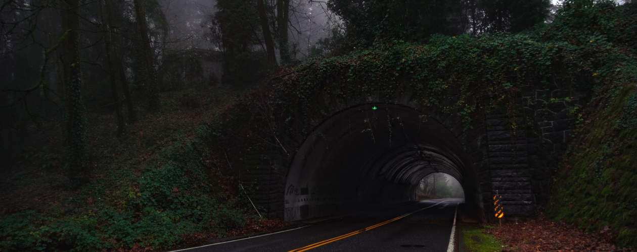 6 триллеров с женщиной в главной роли