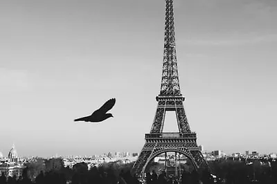 Натурализм за 5 минут