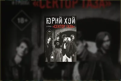 5 интересных фактов о Юрии Хое и группе «Сектор Газа»