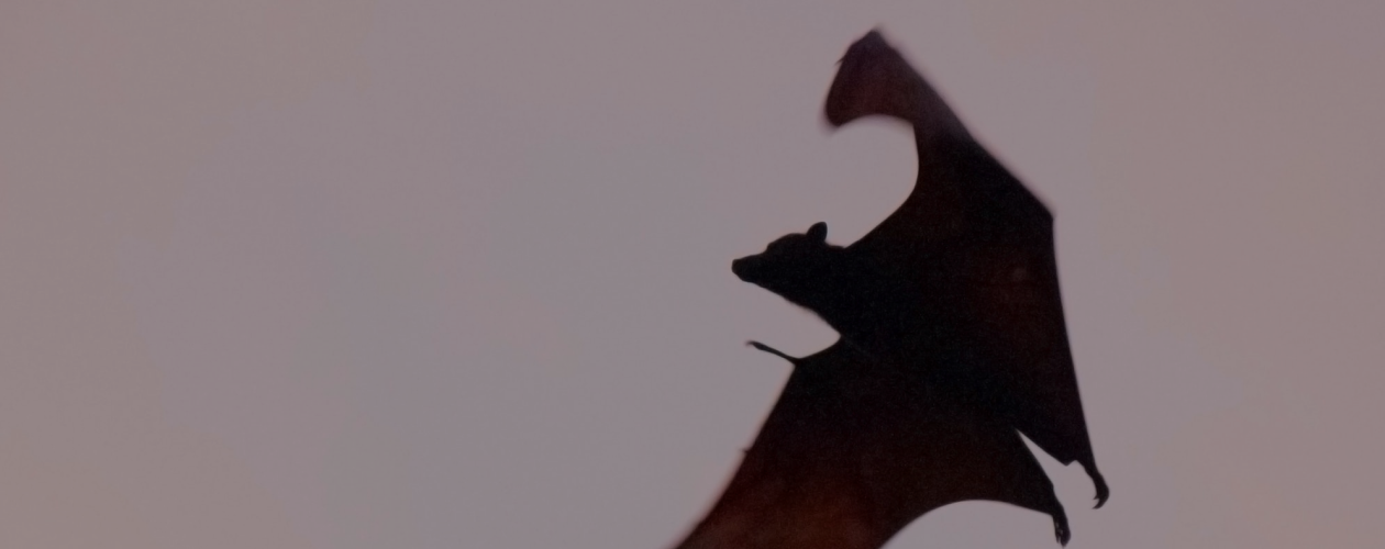 7 отличных книг про вампиров