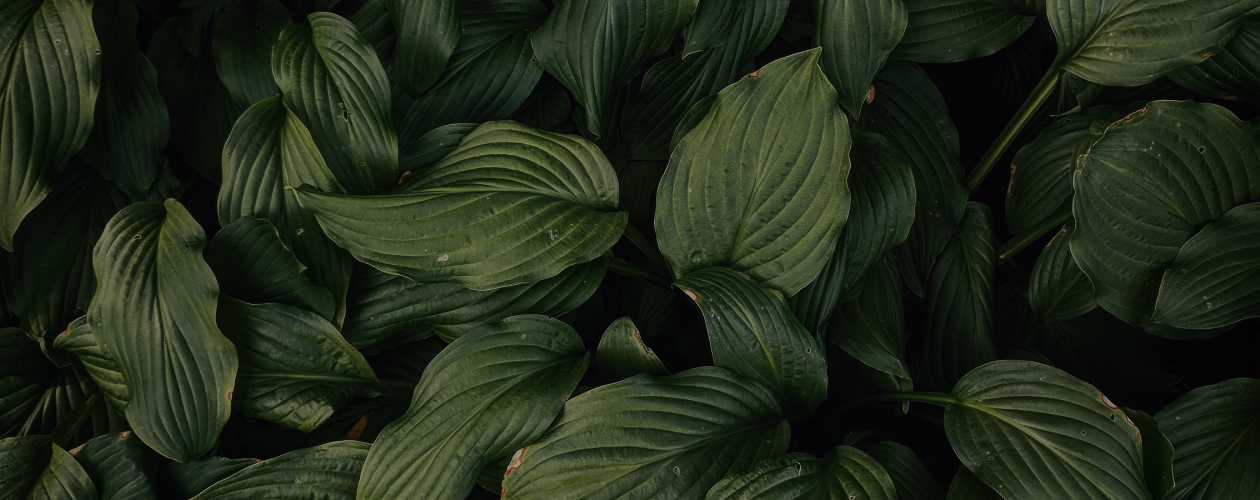 Не волнуйтесь: 4 совета по борьбе с тревожностью