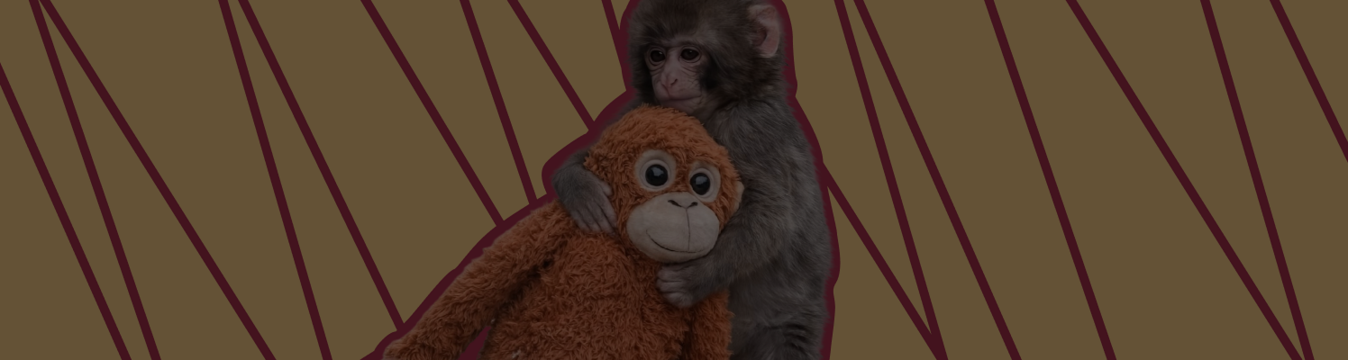 Книги, которые напомнили фото малыша Панча