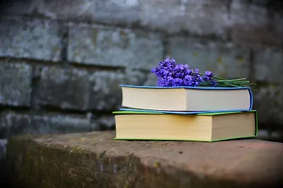 Эмоциональный интеллект: 7 книг, которые помогут его развить