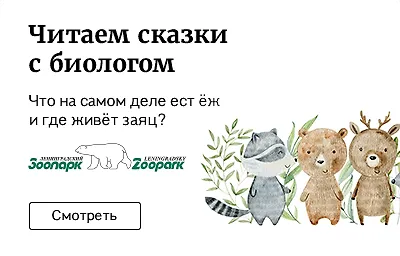 Читаем сказки с биологом