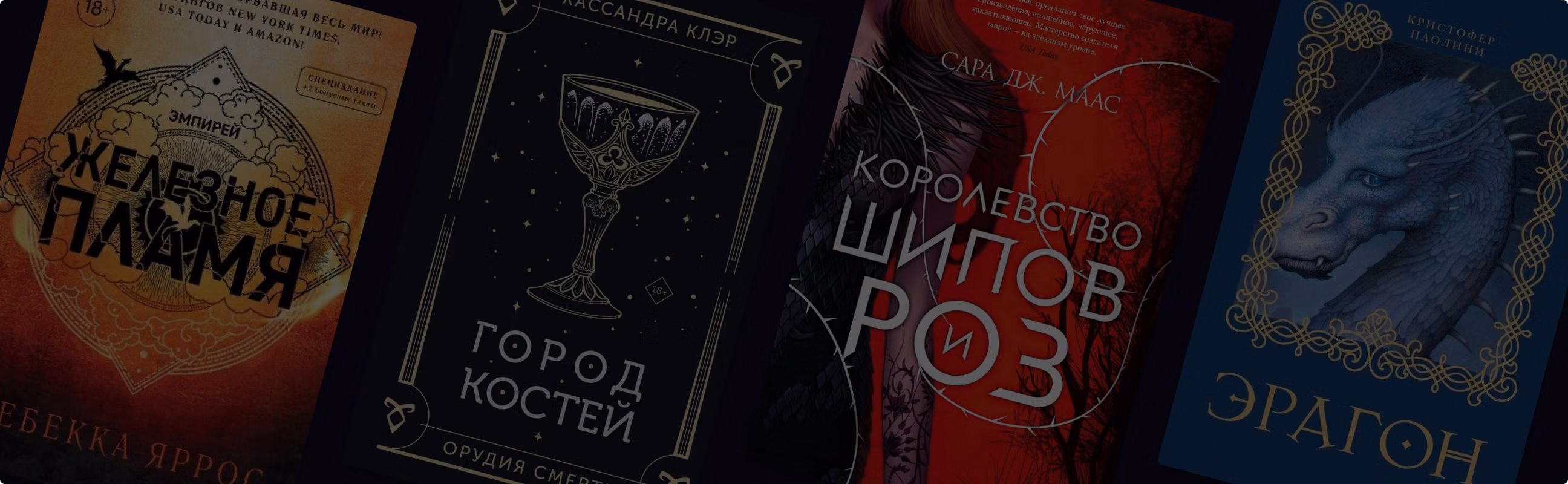 «Четвёртое крыло»: 11 книг в духе бестселлера