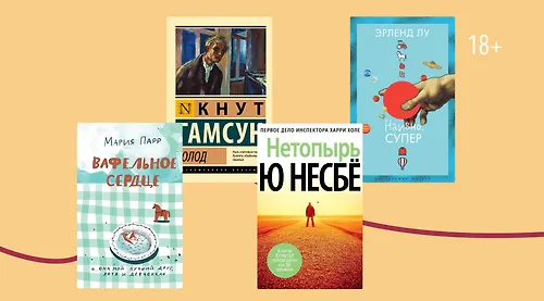 С северным колоритом: 6 книг норвежских авторов