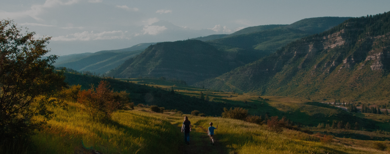 Зачем покупать классические произведения в пересказе