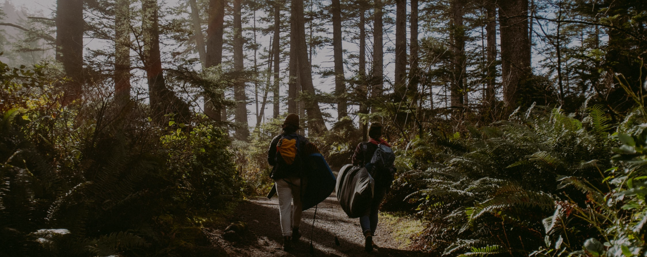 Куда поехать в отпуск в России: 5 незабываемых направлений