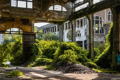 Почему конец света – это так привлекательно