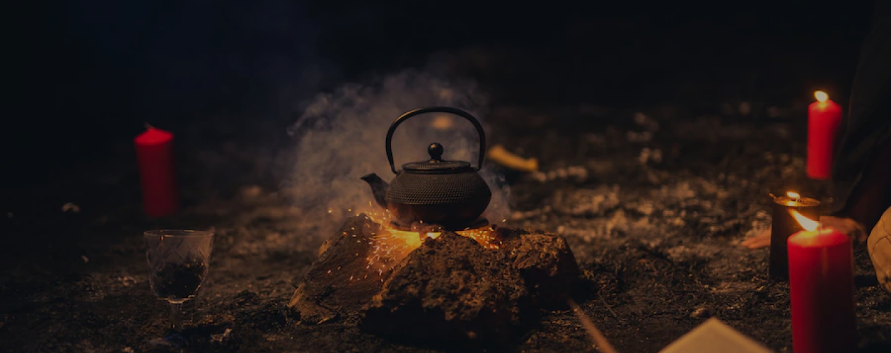 Приют на острове и лисья охота: 5 книг, где оживает волшебство