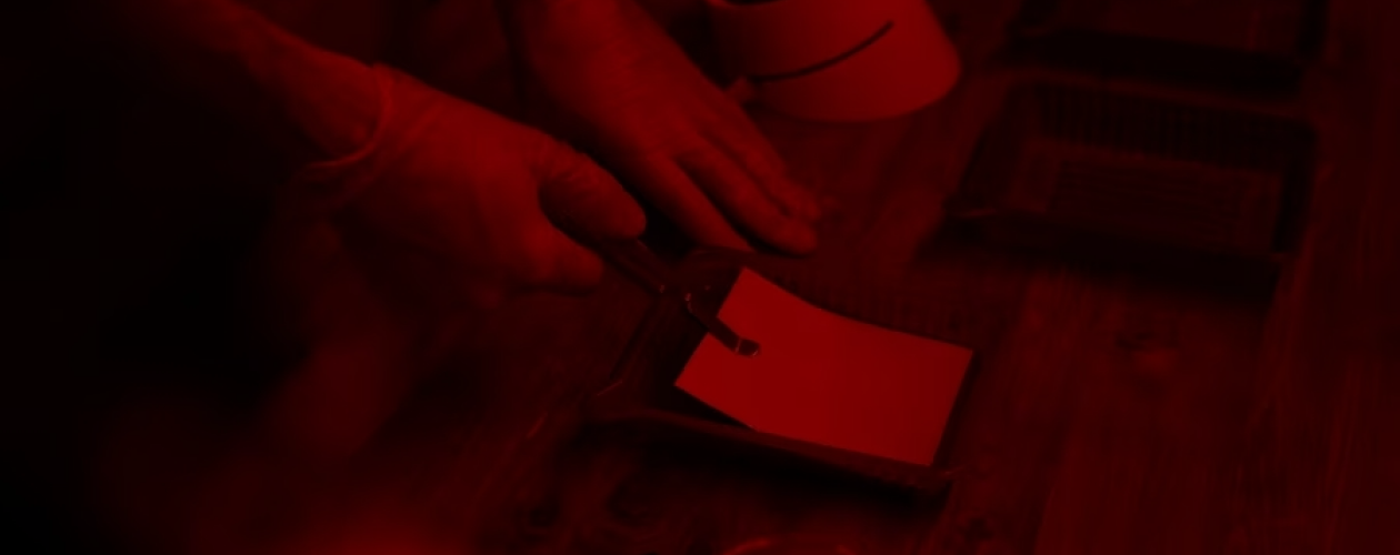 Мама-ама криминал и любовь: что такое Dark Romance