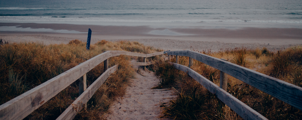 Соль, болото и вафельное сердце: 9 книг о лете, которое невозможно забыть