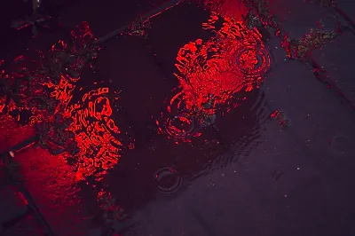 Сказочница нового времени: 6 книг Виктории Шваб