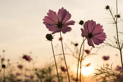 7 художественных книг, которые станут вашим психологом