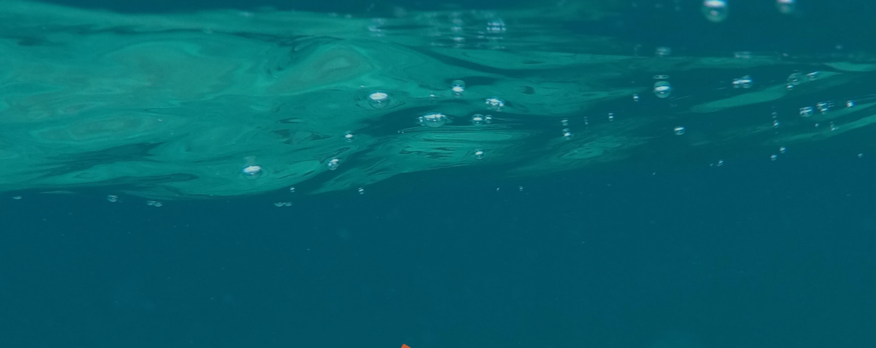 Книга участника легендарной группы «Король и Шут»