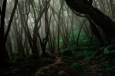 8 книг, герои которых попадают в необычные и опасные места