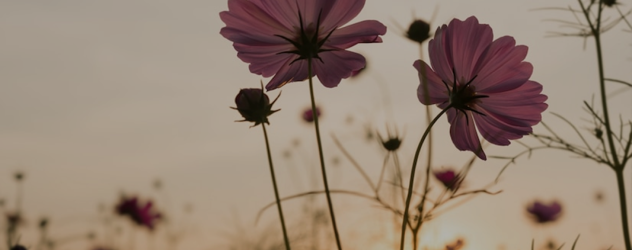 7 художественных книг, которые станут вашим психологом