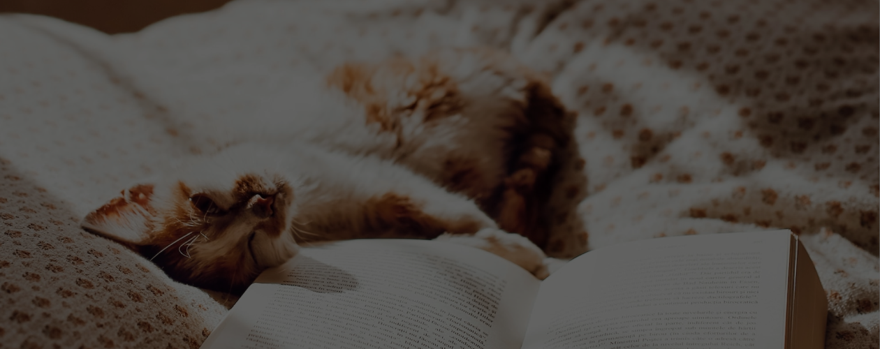 Всемирный день лени: 10 книг, с которыми не захочется выходить из дома