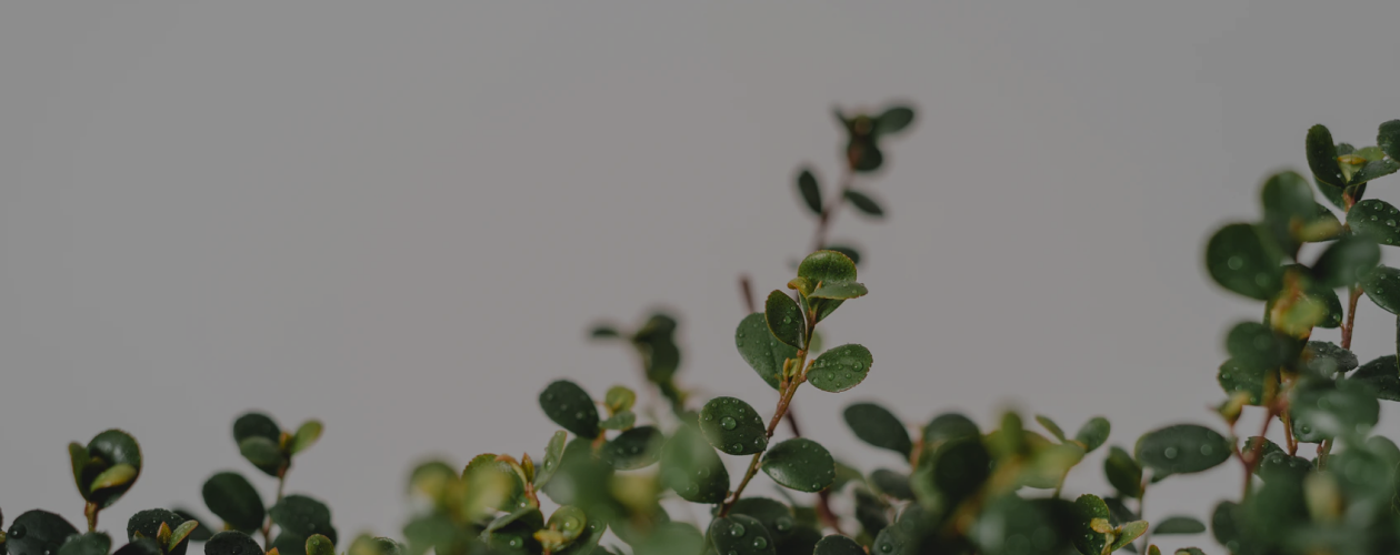 Воспитание без стрессов, неврозов и чувства вины