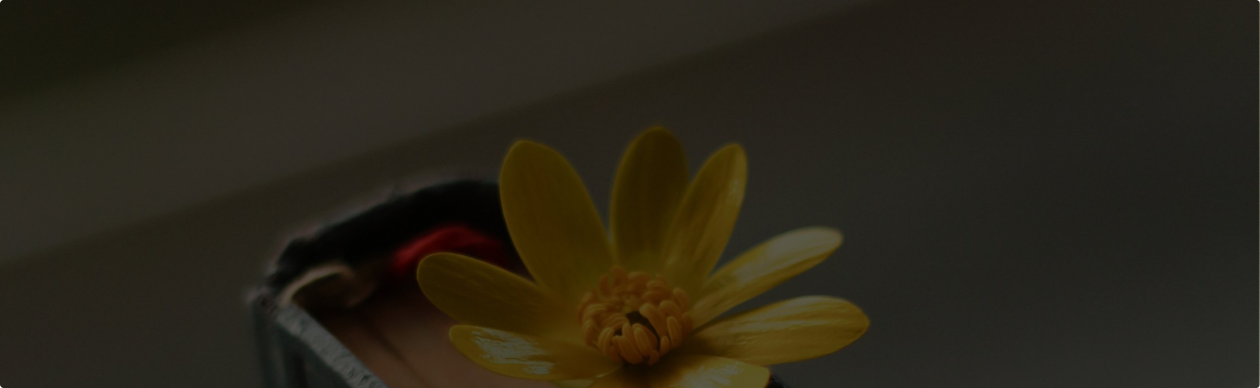 Увидимся следующим летом: 7 книг с атмосферой ностальгии