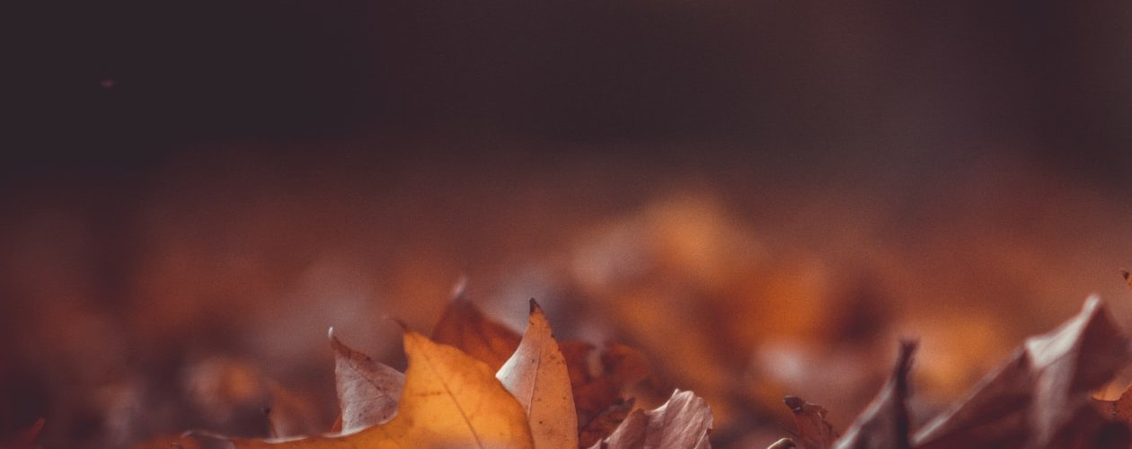 5 книг с осенней атмосферой