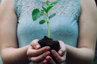 Шопер, своп, ноль отходов: 7 важных книг об экологии