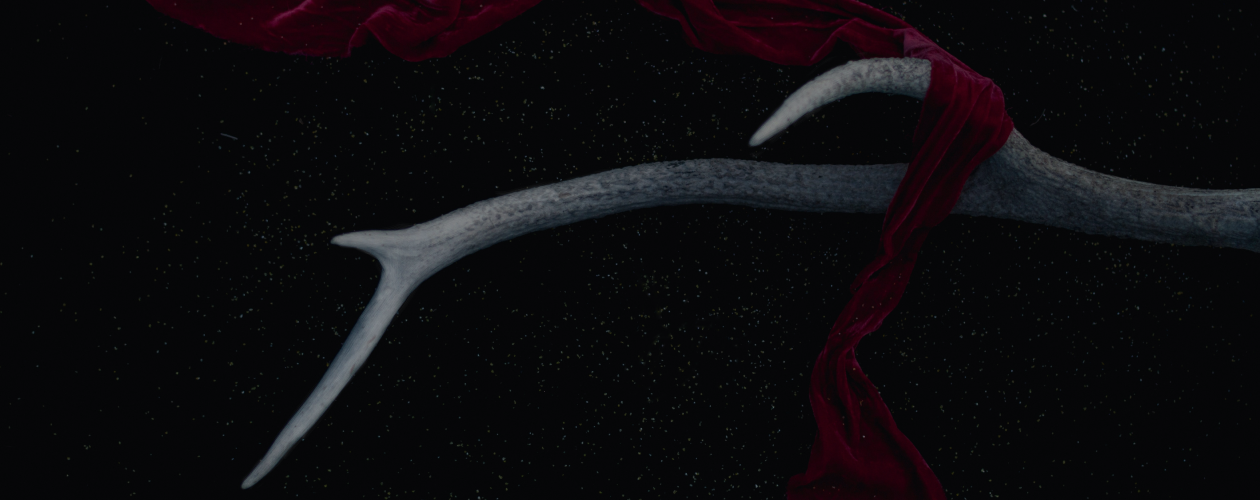 Мачехи, традиции, принцы: о чём новая книга Сомана Чайнани