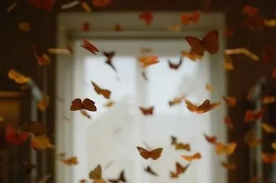 5 книг про любовь и магию