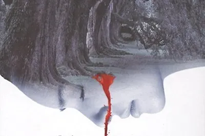 Скандинавские авторы