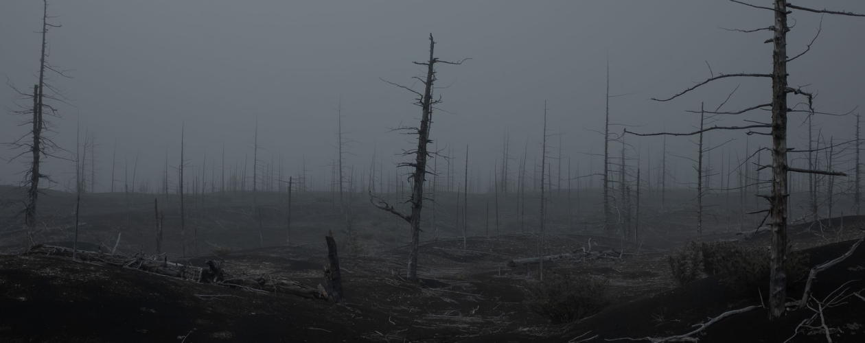 Омерзительные чудовища и где их можно найти