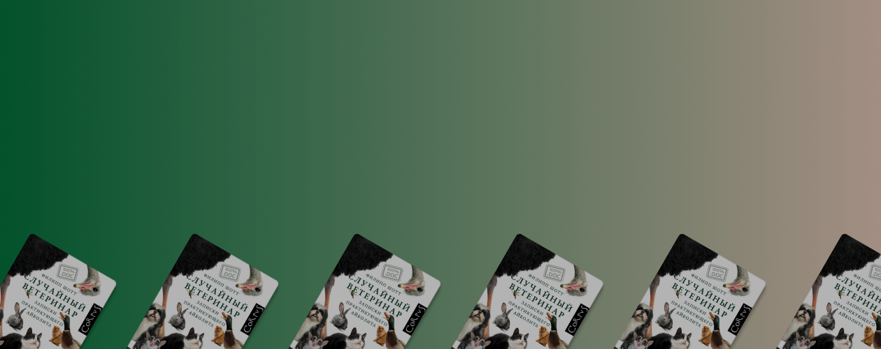 Что видела собака-поводырь