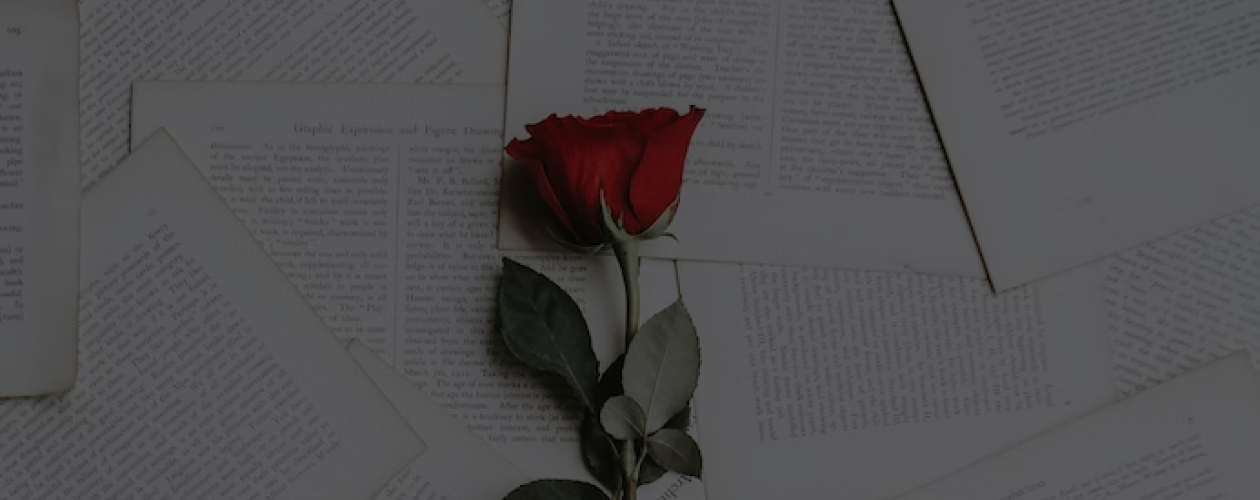 «Проклятый бывший» и ещё 6 любовных романов с необычной завязкой