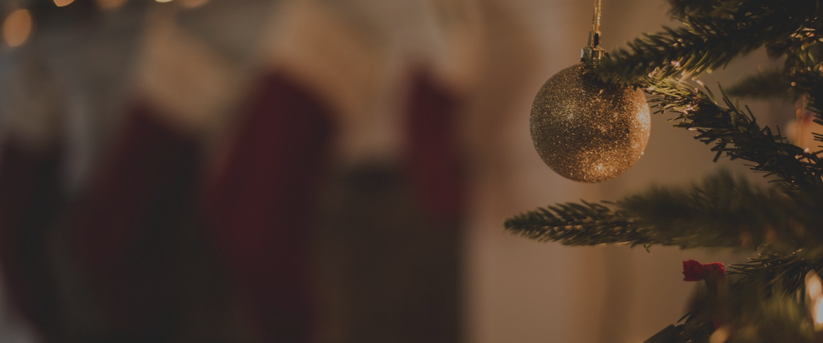 Кто согревает нас в зимние дни?