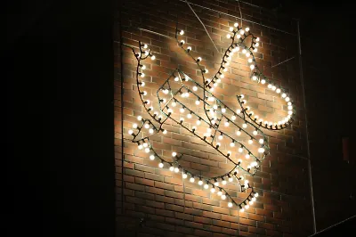 Моря, озёра, острова: рыбалка с муми-троллями