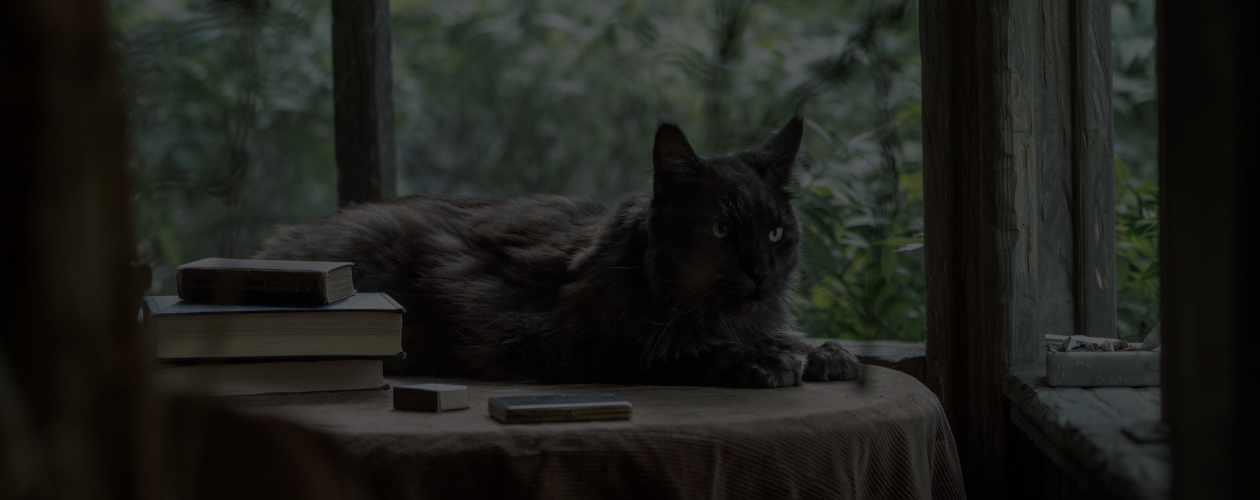 За мной, читатель! 6 книг о писателях к премьере «Мастера и Маргариты»