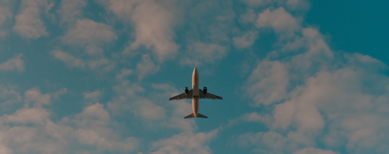 Что почитать в дороге