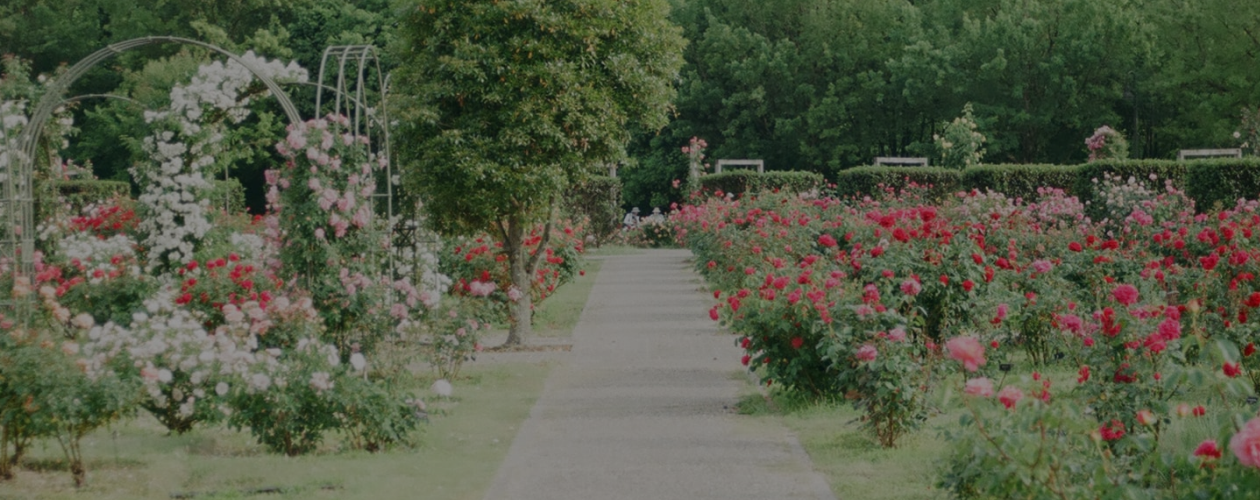 Добрые истории от Холли Вебб