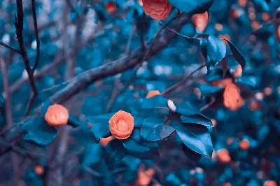 5 нетипичных фэнтези-книг