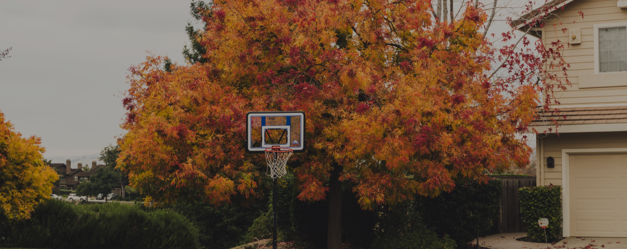 Тихие и страшные: 9 детективов и триллеров о маленьких городах