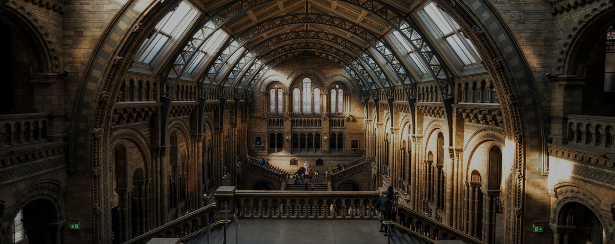 Мрачные улицы и жуткие убийства: 7 викторианских детективов