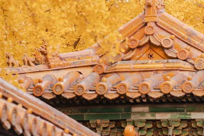 Что читают персонажи игры Genshin Impact