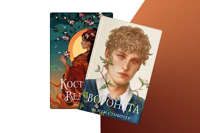 Что подарить фанатам Young Adult: 7 бестселлеров в шикарном оформлении