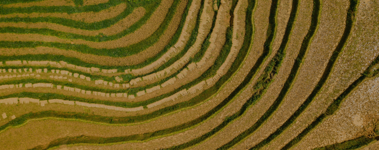 5 фактов о происхождении человечества